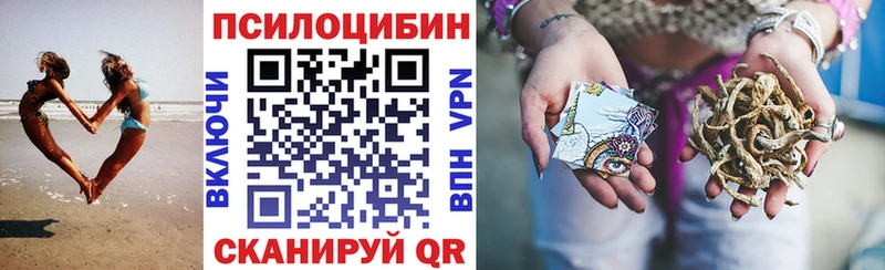 Псилоцибиновые грибы Magic Shrooms  Купить закладки  Шебекино 